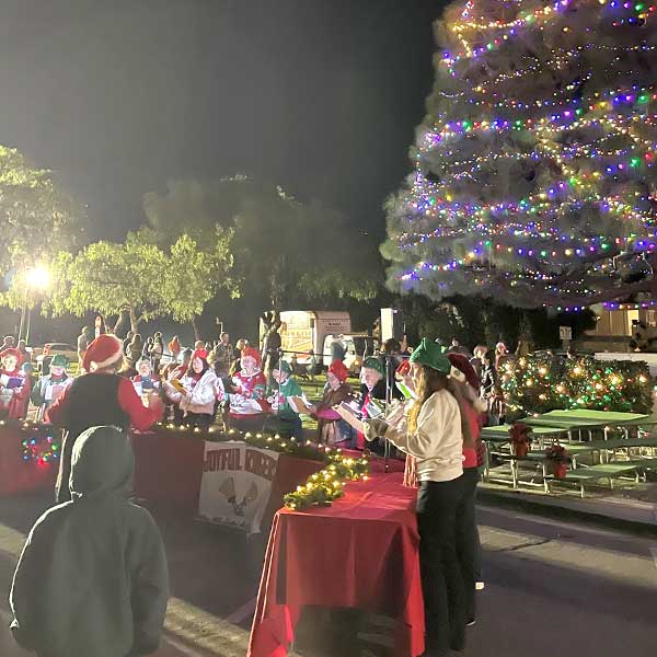 tree lighting event with crowd in attendance
